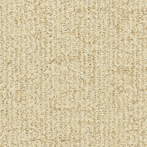 Close-up of Victor Family Friendly Carpet in Jackpot, featuring a soft, looped pile with subtle shading—ideal for durable, premium family flooring.