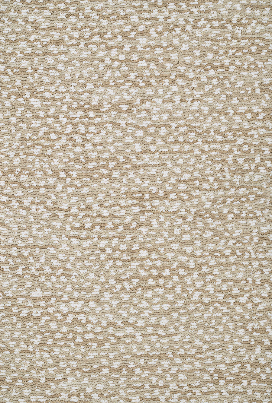 Close-up of the Jag On Trend Carpet in beige, featuring a subtle, irregular pattern of small white dots for a textured look that adds luxurious elegance to any space.