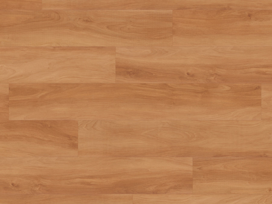 A close-up of Van Gogh Glue 7" Vinyl Plank in Jatoba color, featuring natural wood grain and staggered rectangular planks—perfect for high-traffic areas and suitable for glue-down installation.