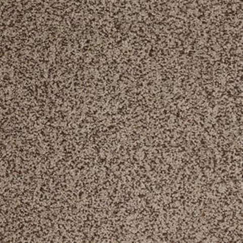 Close-up view of Harbor Town Family Friendly Carpet in Jazzy, featuring soft, dense beige and brown fibers with a slightly speckled pattern—ideal for a stylish, durable, and family-friendly flooring choice.