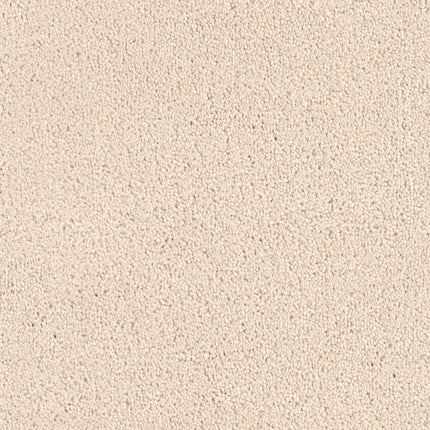 Close-up of Tribute Family Friendly Carpet in Kalista, featuring a textured, light beige surface with a slightly rough and porous appearance.