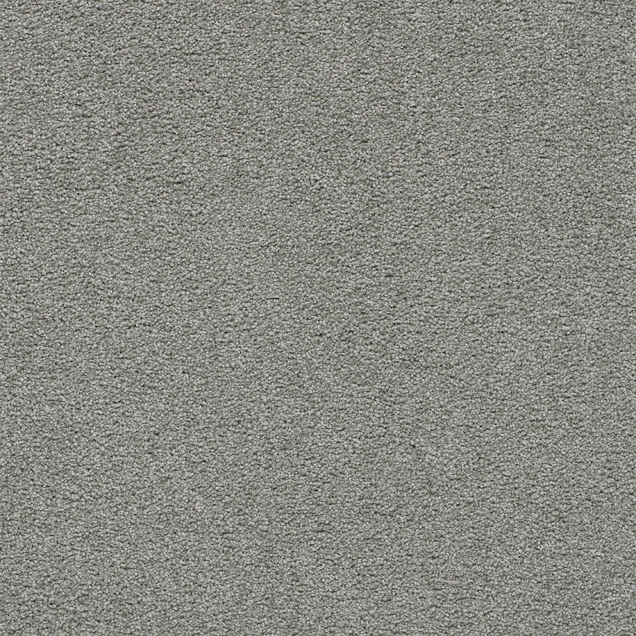 Close-up view of the Spectrum II Pet Friendly Carpet in Kiwi Cove, highlighting its dense fibers and soft, uniform surface that’s both inviting and comfortable.