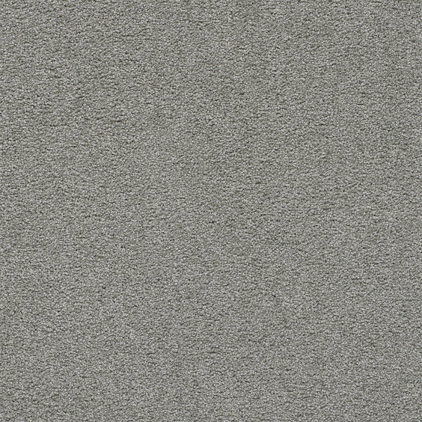 Close-up view of the Spectrum II Pet Friendly Carpet in Kiwi Cove, highlighting its dense fibers and soft, uniform surface that’s both inviting and comfortable.