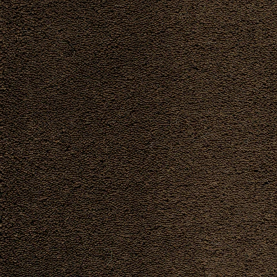 Close-up of Dolce Family Friendly Carpet in Kona color, featuring a dark brown, suede-like textured surface with a matte finish—ideal for luxury, high-traffic areas.