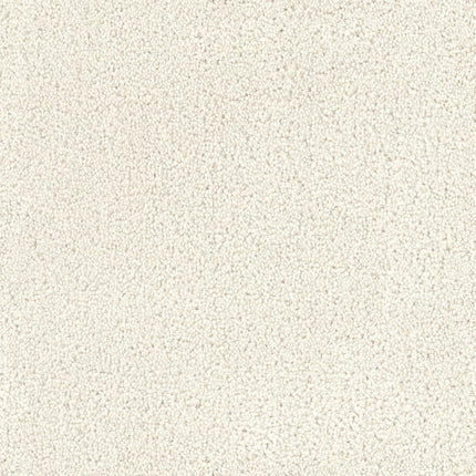Close-up of the Tribute Family Friendly Carpet in La Rochelle, highlighting its dense, soft pile and uniform texture—an inviting and durable choice perfect for family spaces.