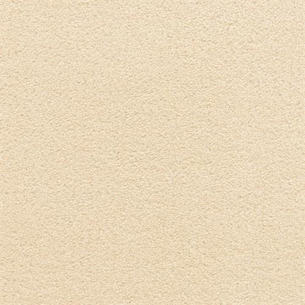 A close-up of the Grand Isle Family Friendly Carpet in Lady Finger shows a smooth, beige surface with subtle texture—ideal for bringing elegant style and comfort to any room.