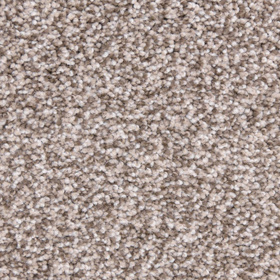 Close-up of Maroon Bells Family Friendly Carpet in Laid Back color, showcasing tightly packed fibers for a soft, plush, and comfortable surface that's perfect for families.