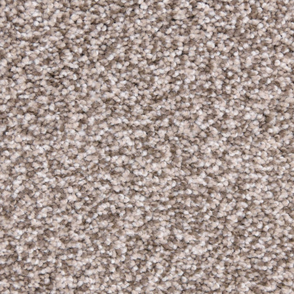 Close-up of Maroon Bells Family Friendly Carpet in Laid Back color, showcasing tightly packed fibers for a soft, plush, and comfortable surface that's perfect for families.