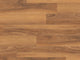 Van Gogh Rigid Core 7