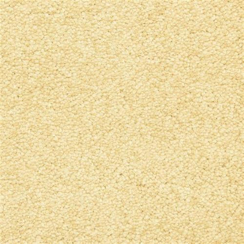 Close-up of Morgan Bay Family Friendly Carpet in Lantern color, featuring a soft looped pile for a cozy, uniform look. Durable and ideal for busy households, this carpet is designed with family-friendly practicality.
