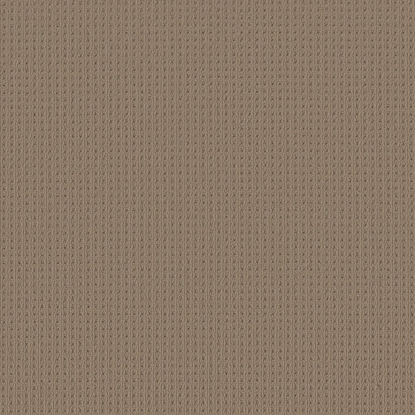 Close-up of San Lucas Family Friendly Carpet in Latte, featuring a textured, light brown knitted look with a vertical ribbed pattern. Evenly spaced stitches create a uniform, cozy appearance—ideal for high-traffic homes.