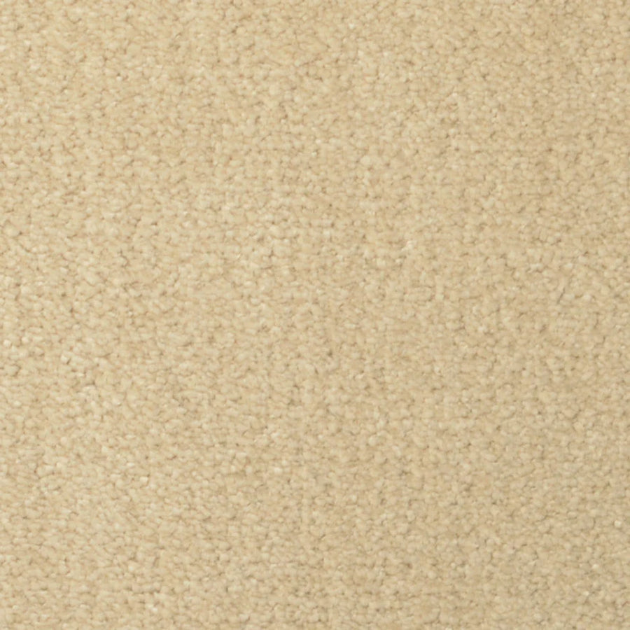 Close-up of Seduction On Trend Carpet in Latte shows a soft, plush surface with short, tightly-packed fibers. Its uniform color and luxurious texture offer both style and comfort, perfect for creating an inviting space.