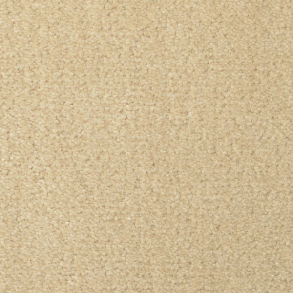 Close-up of Seduction On Trend Carpet in Latte shows a soft, plush surface with short, tightly-packed fibers. Its uniform color and luxurious texture offer both style and comfort, perfect for creating an inviting space.