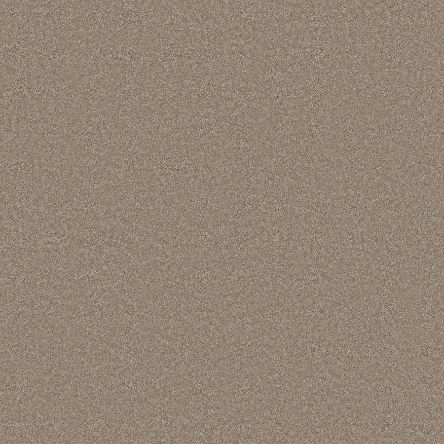 A close-up view of the Smooth Tone Blue Pet Friendly Carpet in Latte, featuring a consistent, slightly textured pattern—perfect for durable and stylish flooring in modern interiors.