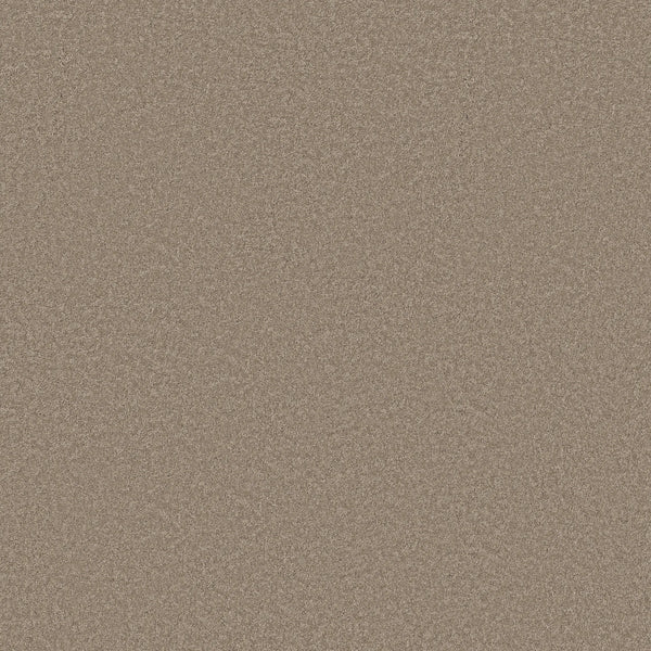 A close-up view of the Smooth Tone Blue Pet Friendly Carpet in Latte, featuring a consistent, slightly textured pattern—perfect for durable and stylish flooring in modern interiors.