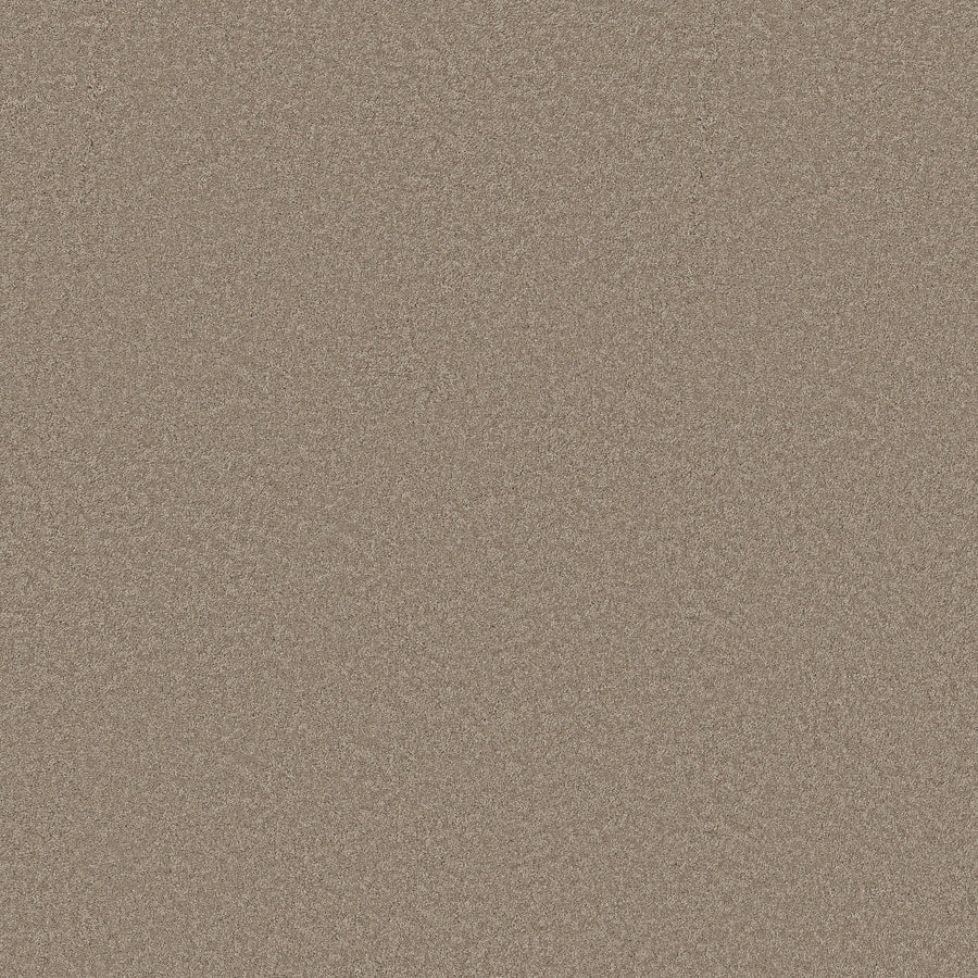 A close-up of the Classic Tone Blue Pet Friendly Carpet in Latte, showing its fine beige and light brown grains that mimic a sandy surface with a textured, uniform, and durable appearance.