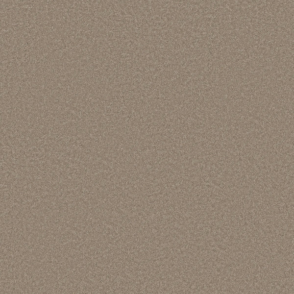 A close-up of Classic Tone Pet Friendly Carpet in Latte shows fine, evenly spread beige grains, giving it a textured, uniform look—ideal for homes with pets.