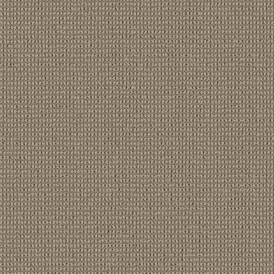 Close-up of Knitted Tone Pet Friendly Carpet in Late color, featuring a soft, uniform surface with tightly woven loops—crafted for durability and luxury in high-traffic spaces.