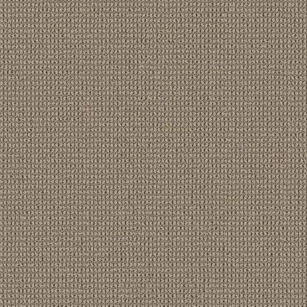 A close-up of Knitted Tone Blue Pet Friendly Carpet in Latte shows its soft, tightly knitted beige texture, offering a refined and luxurious look that’s both elegant and practical for homes with pets.