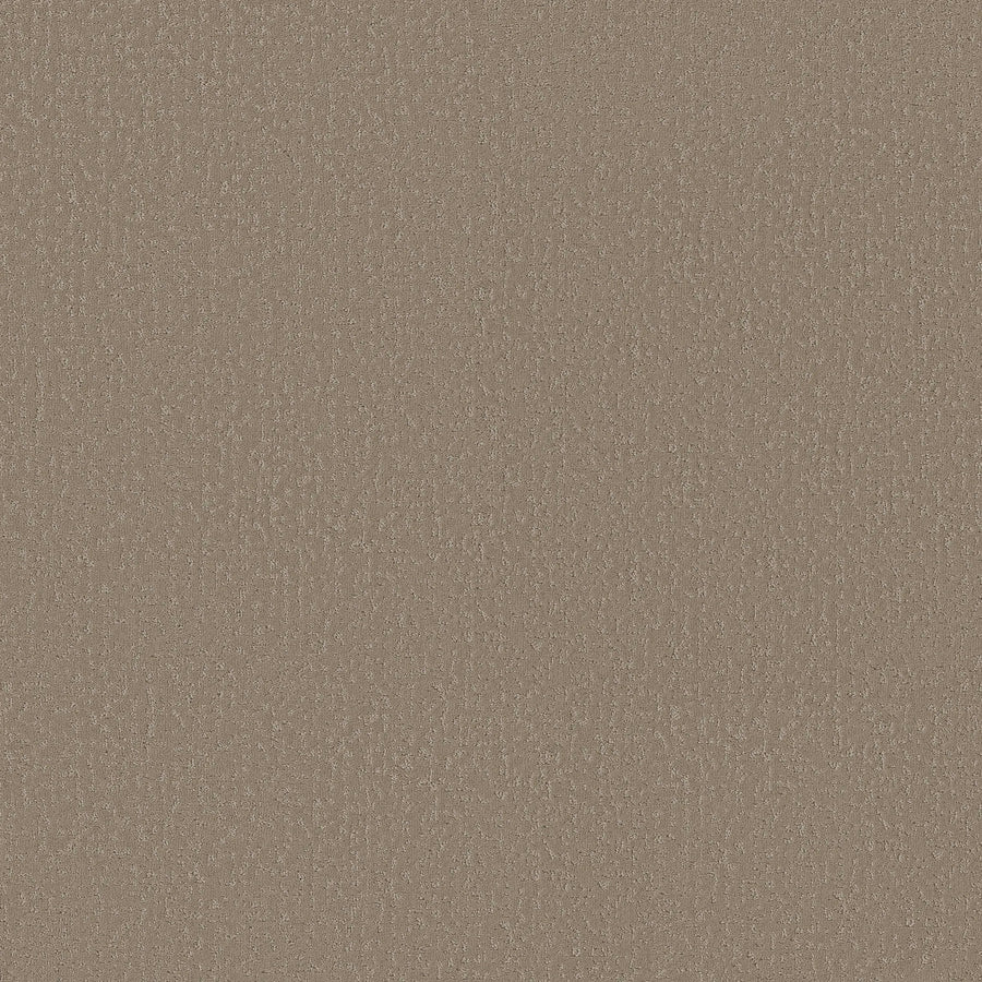 A close-up of Crafted Tone Pet Friendly Carpet in Latte, featuring a subtle, fine-grain pattern—perfect for anyone seeking stylish and resilient carpeting with a durable, textured surface.