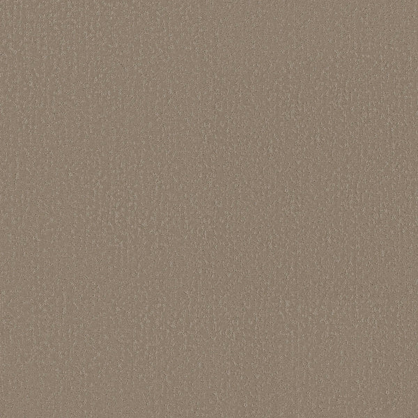 A close-up of Crafted Tone Blue Pet Friendly Carpet in Latte, showcasing its textured surface, subtle shimmer, and slightly rough appearance.
