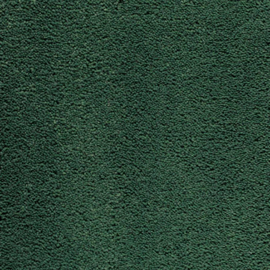 Close-up of Dolce Family Friendly Carpet in Lawn color—a textured, dark green surface with a soft, plush feel that's perfect for adding comfort to high-traffic areas.