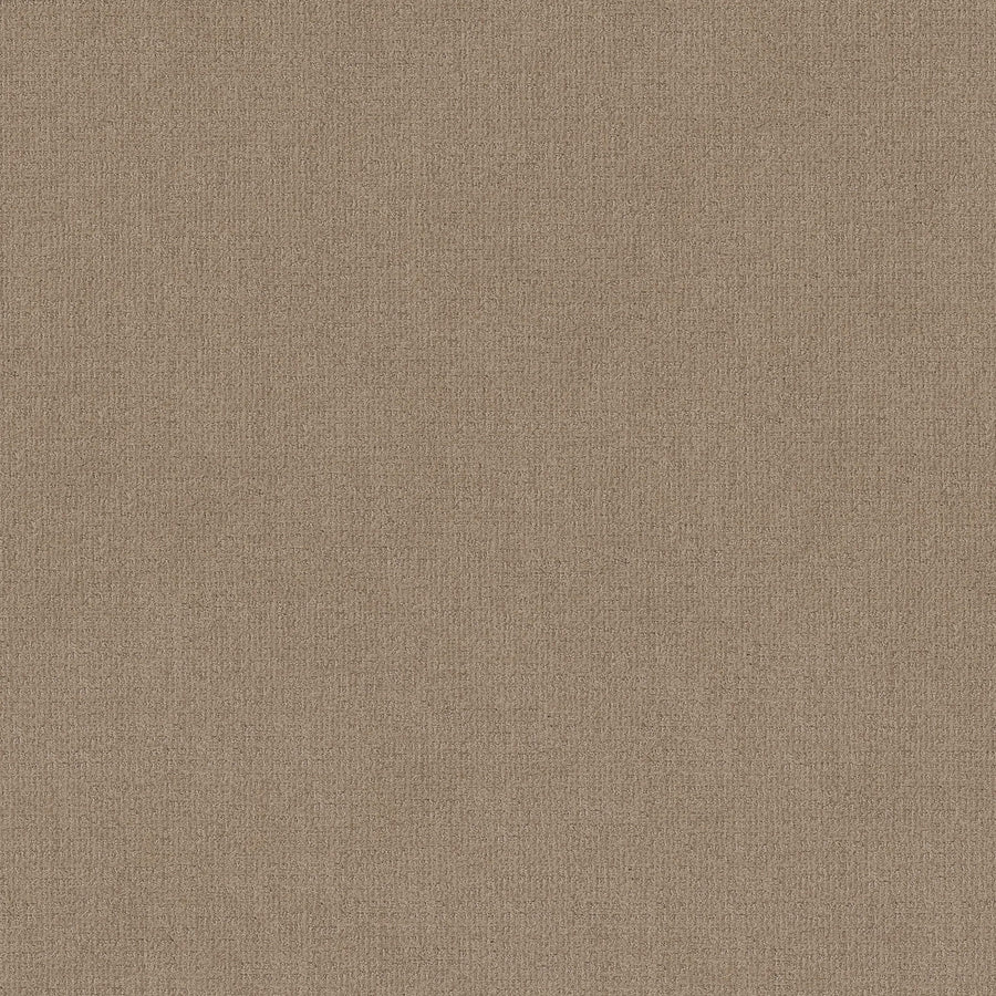 Close-up of Sierra Vista Pet Friendly Carpet in Leather color, showcasing its soft, textured surface with a subtle, even weave for a contemporary look that's comfortable and durable underfoot.