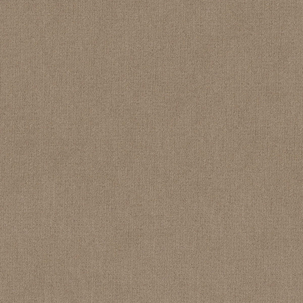 Close-up of Sierra Vista Pet Friendly Carpet in Leather color, showcasing its soft, textured surface with a subtle, even weave for a contemporary look that's comfortable and durable underfoot.