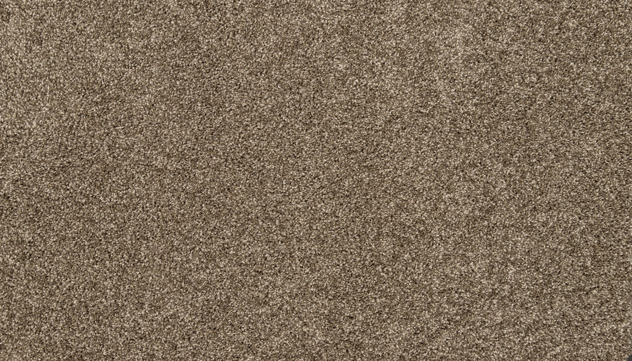 Close-up of Furocious I Pet Friendly Carpet, featuring a plush, light brown texture with dense, soft pile—ideal for modern interiors and homes with pets.