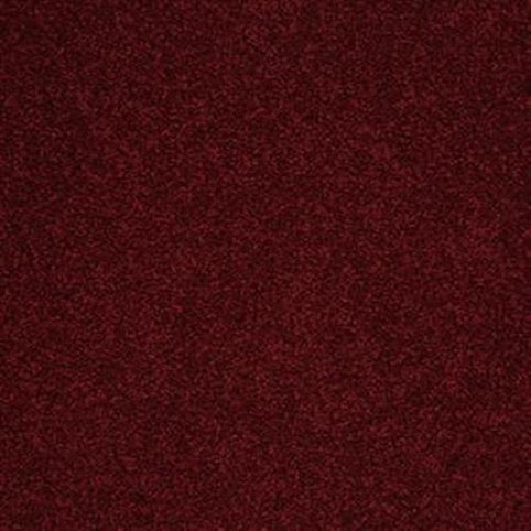 A close-up view of the Harbor Town Family Friendly Carpet in Light House color, showcasing its textured surface and soft, slightly fuzzy appearance.