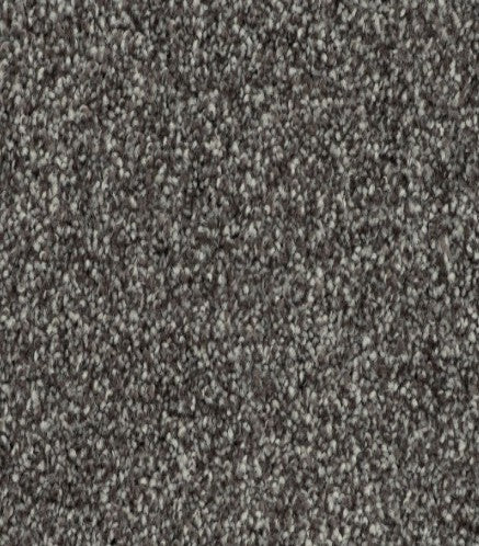 Close-up of Quality Living II Pet Friendly Carpet in Lite Espresso, showing its textured loop-pile and tightly woven fibers for a soft, dense, and durable surface—perfect for pet owners.