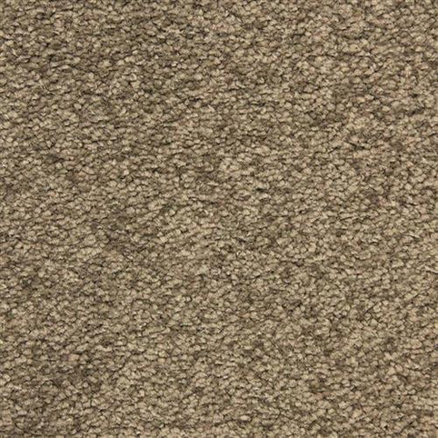 Close-up view of the Morgan Bay Family Friendly Carpet in Lodge, featuring a textured, looped pile and durable fibers in varying beige and brown tones—perfect for high-traffic, family-friendly areas.