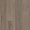 London Elm