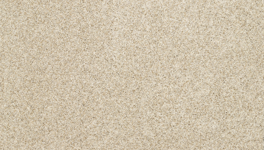 Close-up view of Furocious I Pet Friendly Carpet in beige, showcasing its plush texture and dense fibers—an ideal, uniform-colored choice for pet-friendly interior design.