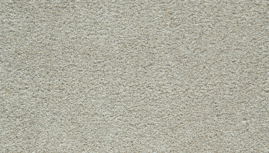 Close-up of the Cozy Companion Pet Friendly Carpet in London Fog, showcasing its soft, textured surface. The plush carpet fibers are tightly woven, creating a uniform and inviting appearance throughout the image—an ideal choice for any space.