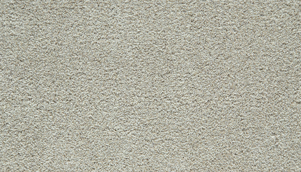 Close-up of the Cozy Companion Pet Friendly Carpet in London Fog, showcasing its soft, textured surface. The plush carpet fibers are tightly woven, creating a uniform and inviting appearance throughout the image—an ideal choice for any space.