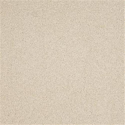 Close-up of Harbor Town Family Friendly Carpet in Low Country, featuring a soft, textured surface. Dense, uniform fibers offer a smooth, plush look and stain resistance—perfect for family spaces.