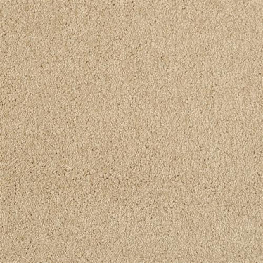 Close-up view of the Oceanside Family Friendly Carpet in Low Tide, featuring a soft, textured surface and tightly woven fibers for plush, family-friendly flooring.