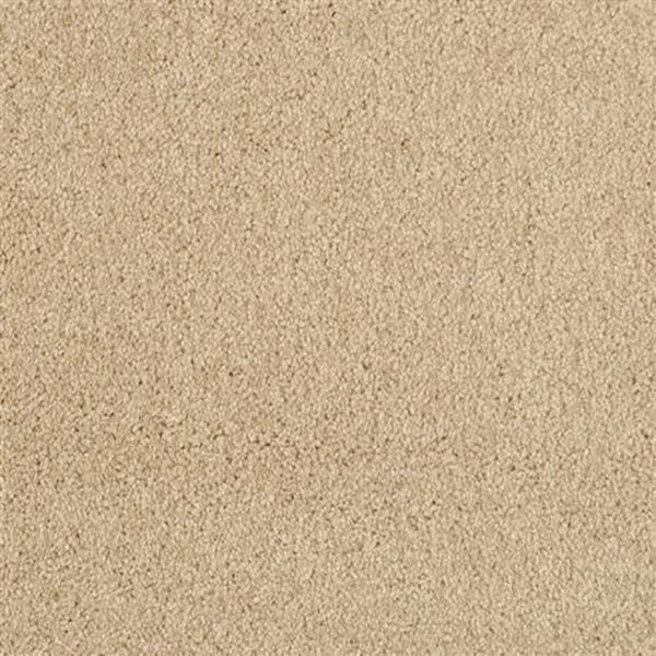 Close-up view of the Oceanside Family Friendly Carpet in Low Tide, featuring a soft, textured surface and tightly woven fibers for plush, family-friendly flooring.