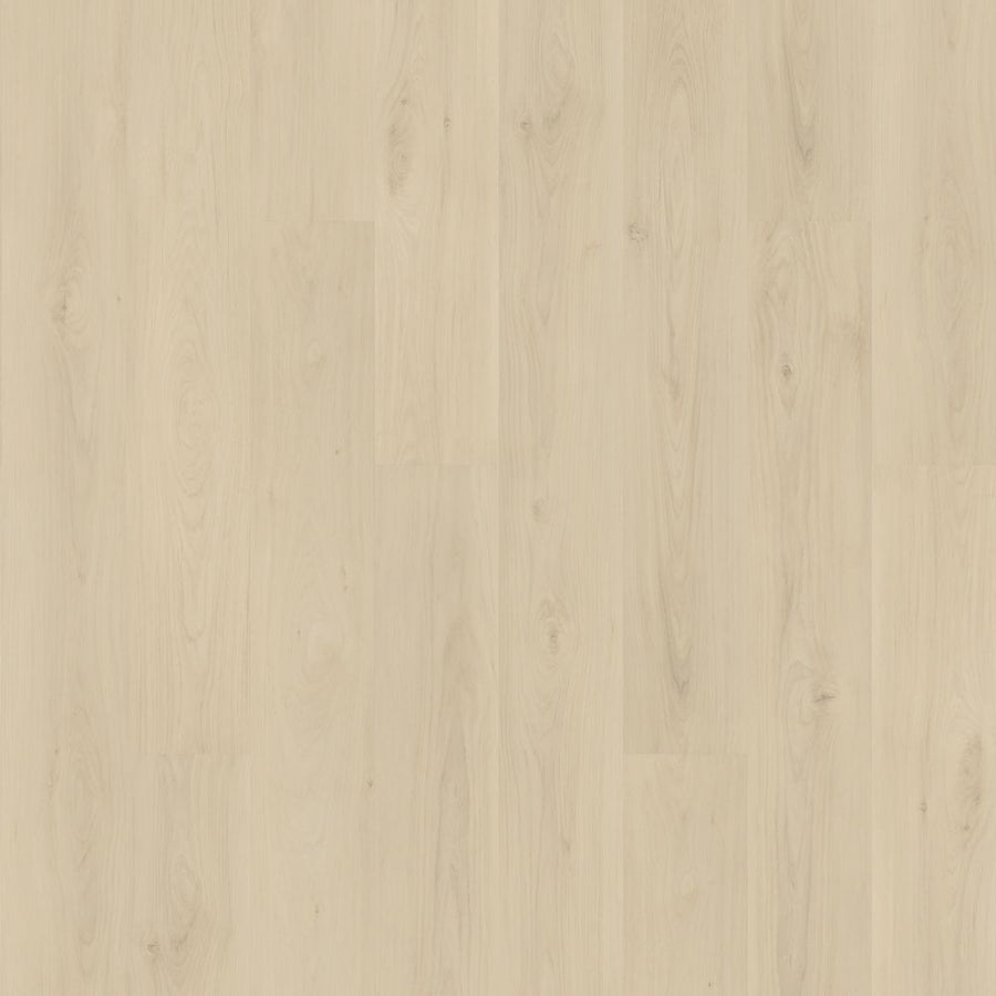 Barker Hollow 7.5" Vinyl features light-toned luxury planks with a smooth matte finish and subtle wood grain, aligned lengthwise for a clean, natural style ideal for modern interiors.