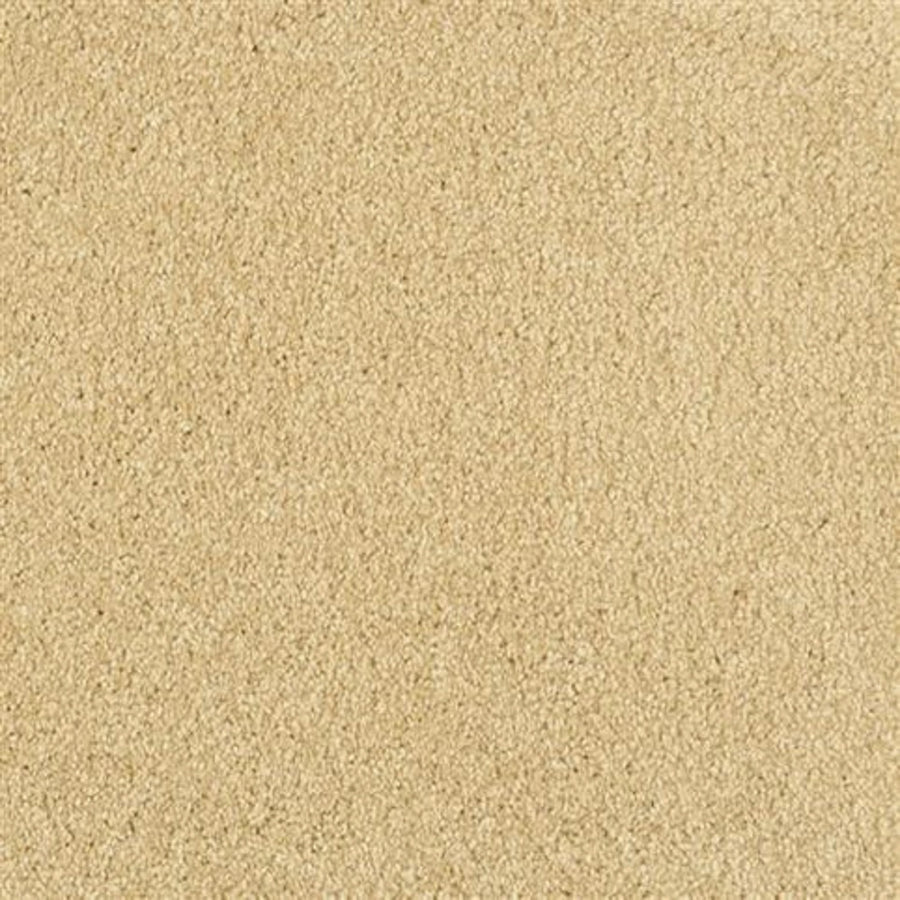Oceanside Family Friendly Carpet in Luminous features a soft, plush texture and evenly distributed fibers for a smooth, uniform look, as shown in close-up.