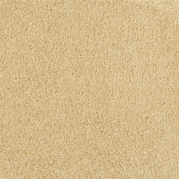 Oceanside Family Friendly Carpet in Luminous features a soft, plush texture and evenly distributed fibers for a smooth, uniform look, as shown in close-up.