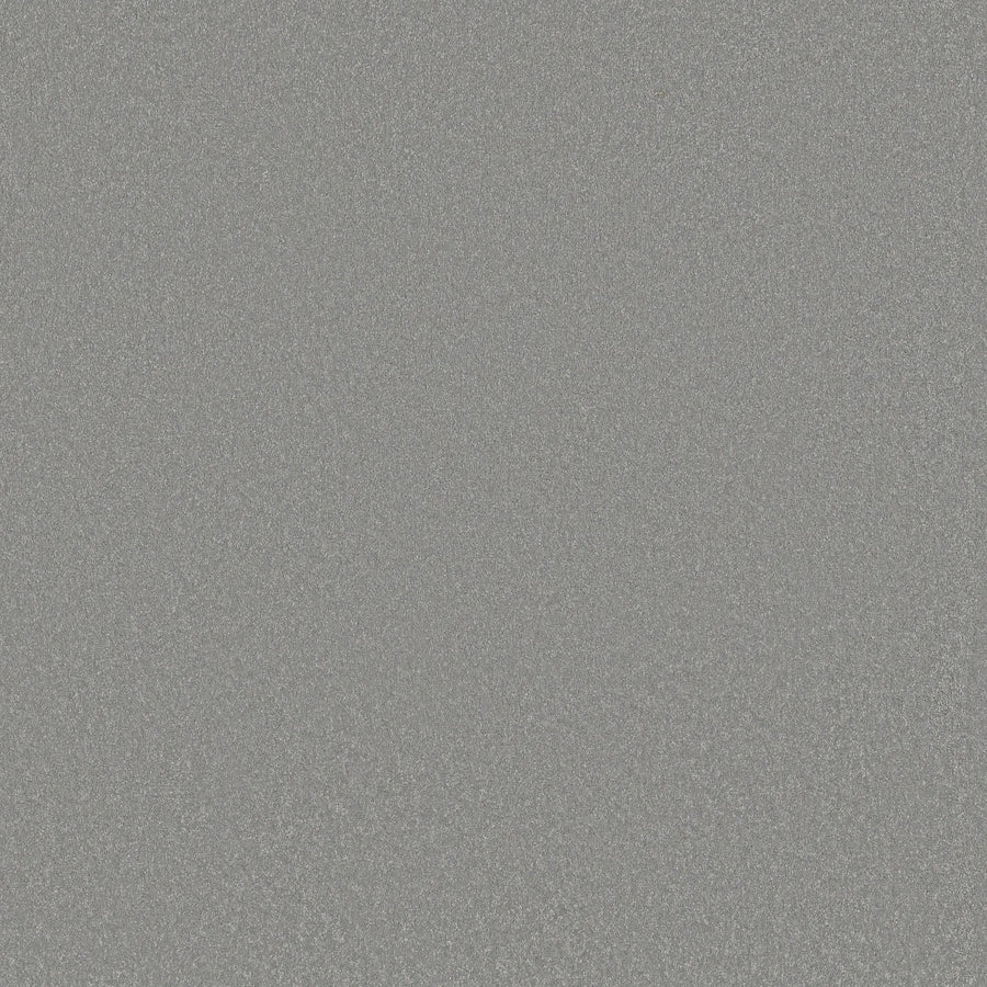 Awaken Spirit Pet Friendly Carpet in Luna features a uniform pattern of fine, light grey speckles on a textured surface, creating a consistent, sparkly look that evokes contemporary style and lasting visual appeal.