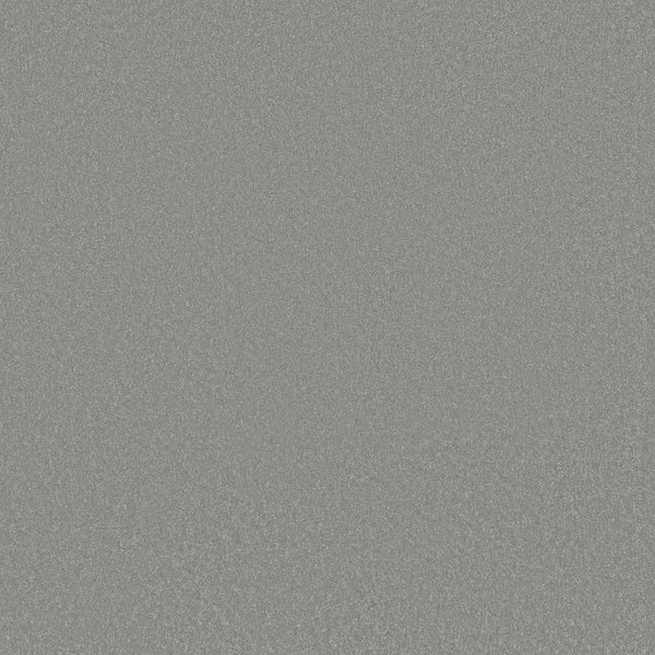 Awaken Spirit Pet Friendly Carpet in Luna features a uniform pattern of fine, light grey speckles on a textured surface, creating a consistent, sparkly look that evokes contemporary style and lasting visual appeal.
