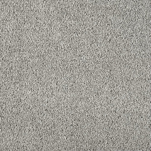 Close-up of Warm Reception Pet Friendly Carpet in light grey, featuring plush, dense fibers with a subtle speckled texture. Its soft, even appearance adds luxurious comfort and durability to any room.