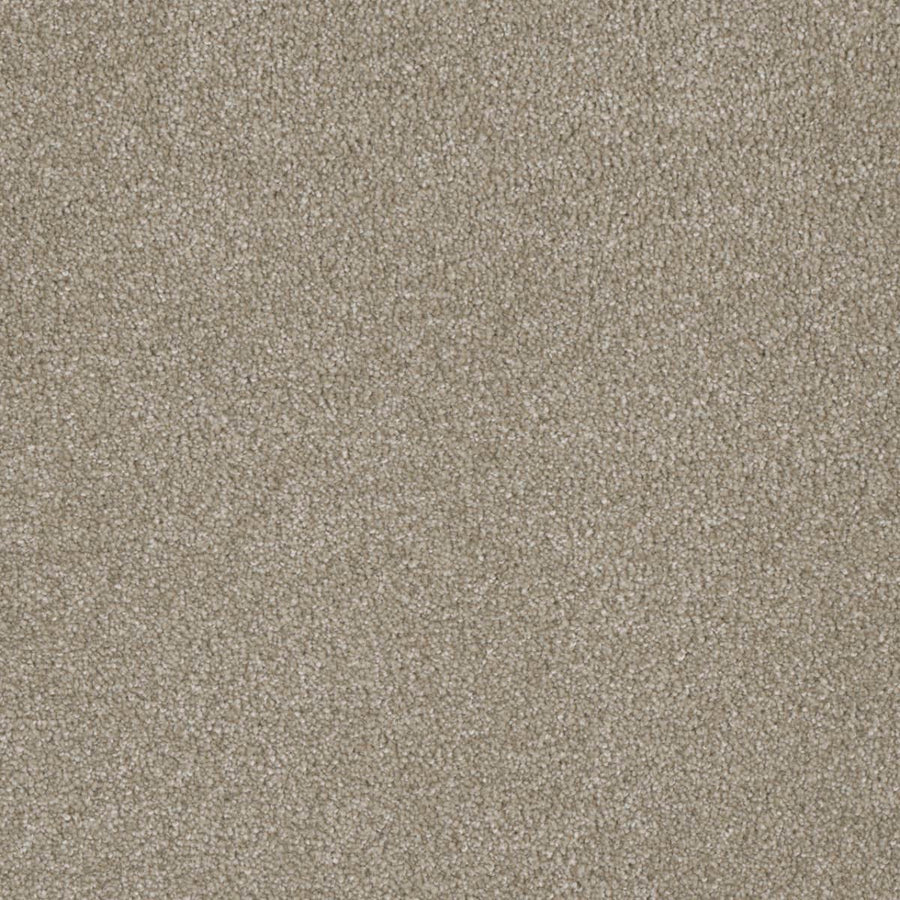 Close-up of Luxor Family Friendly Carpet in Cameo, featuring a soft, textured surface with uniform fibers for lasting comfort—ideal for family spaces.