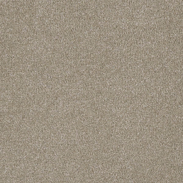 Close-up of Luxor Family Friendly Carpet in Cameo, featuring a soft, textured surface with uniform fibers for lasting comfort—ideal for family spaces.