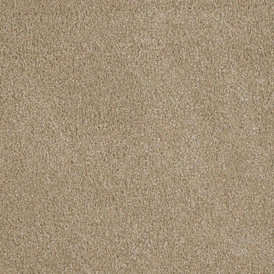 A close-up of Luxor Family Friendly Carpet in Cashmere shows its soft, durable, looped pile—ideal for family homes seeking comfort and style.