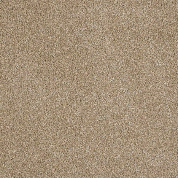 A close-up of Luxor Family Friendly Carpet in Cashmere shows its soft, durable, looped pile—ideal for family homes seeking comfort and style.