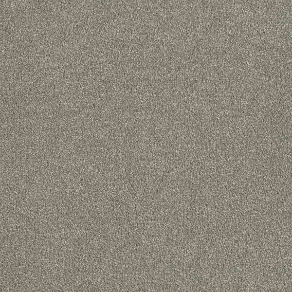 Close-up of Luxor Family Friendly Carpet in Dove, featuring a soft, dense pile and durable texture in a neutral gray—perfect for family-friendly spaces.